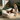 Haven dog bed with soft plush fabric and supportive bolsters